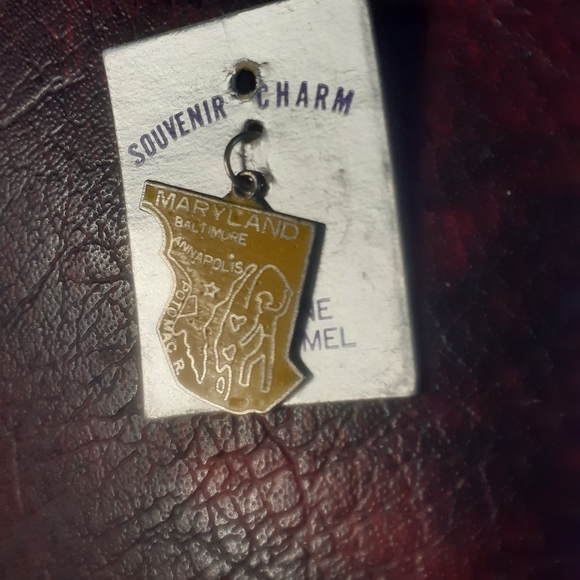 1960/1970's Maryland Enamel Cloisonne State Charm - Picture 6 of 13